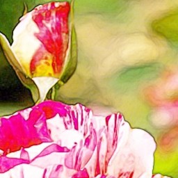 Colored Pencil FAA 03